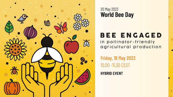 UN World Bee Day: Raising Awareness of Importance of Bees